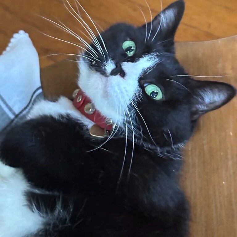 Instagram post from superpipapo. This post is in position 1.