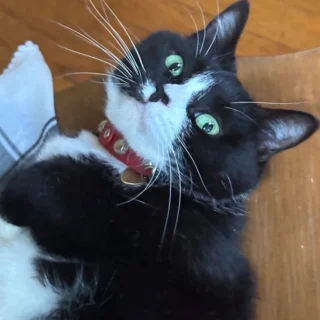 Instagram post from superpipapo. This post is in position 1.