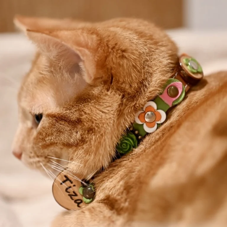 Instagram post from superpipapo. This post is in position 0.