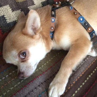 Instagram post from superpipapo. This post is in position 3.