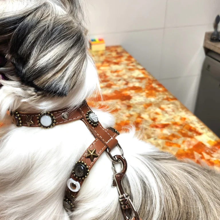 Instagram post from superpipapo. This post is in position 1.