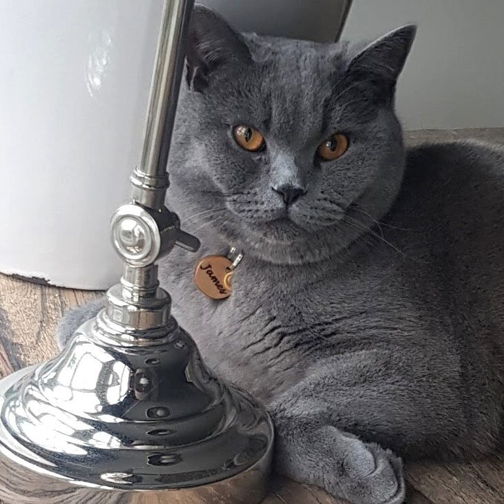 Instagram post from superpipapo. This post is in position 1.