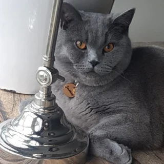 Instagram post from superpipapo. This post is in position 4.