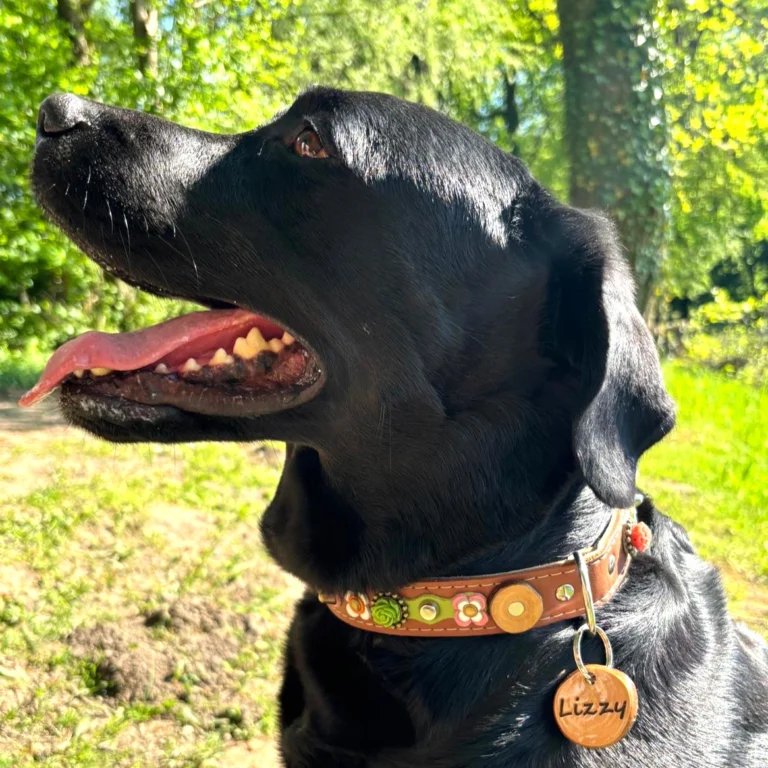 Instagram post from superpipapo. This post is in position 9.