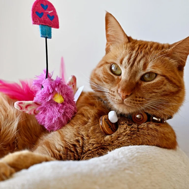 Instagram post from superpipapo. This post is in position 1.