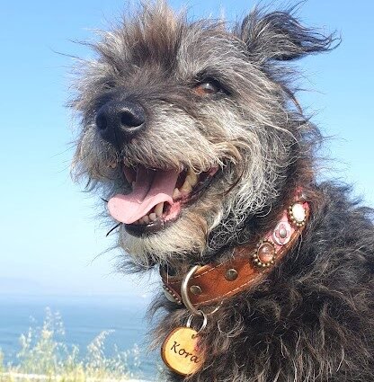 Instagram post from superpipapo. This post is in position 4.