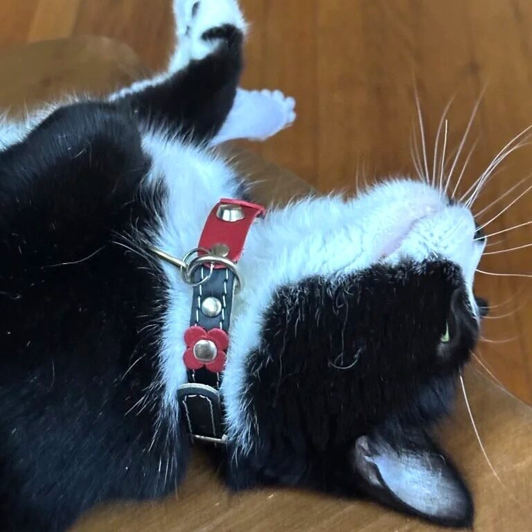 Instagram post from superpipapo. This post is in position 1.