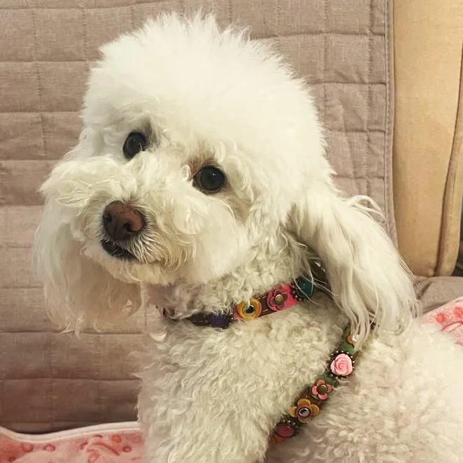 Instagram post from superpipapo. This post is in position 0.