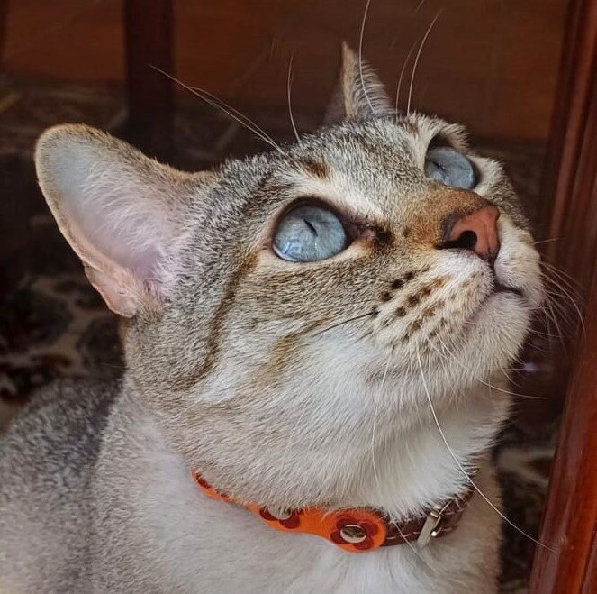 Instagram post from superpipapo. This post is in position 17.