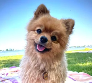 Instagram post from superpipapo. This post is in position 6.