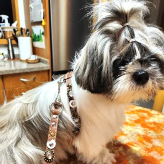 Instagram post from superpipapo. This post is in position 15.