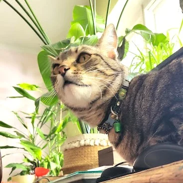 Instagram post from superpipapo. This post is in position 1.