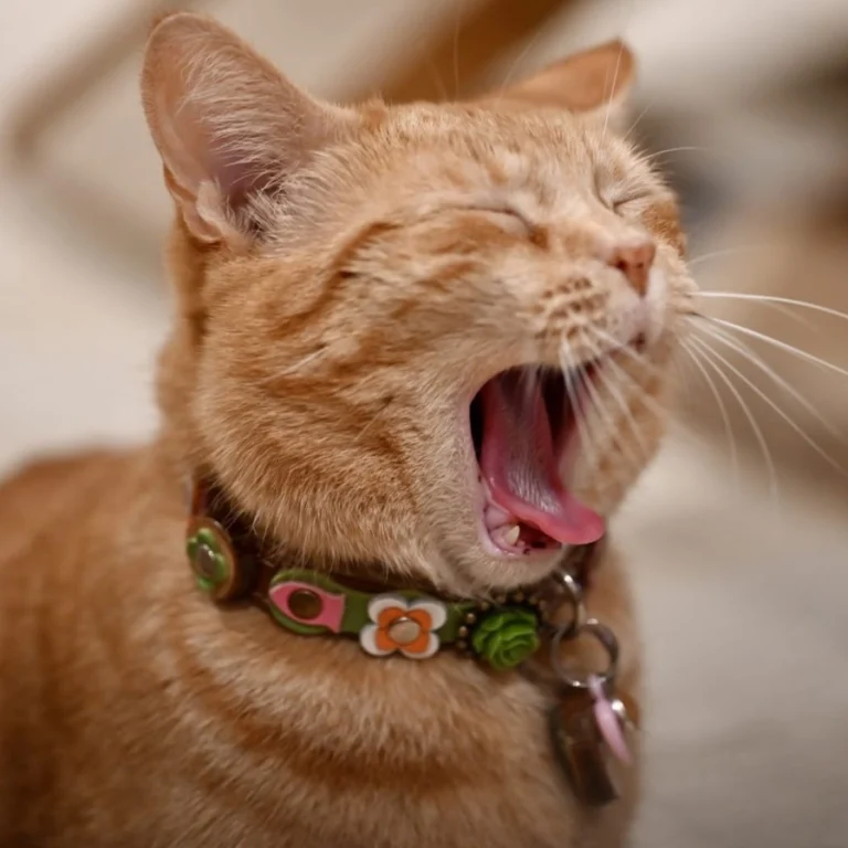 Instagram post from superpipapo. This post is in position 4.