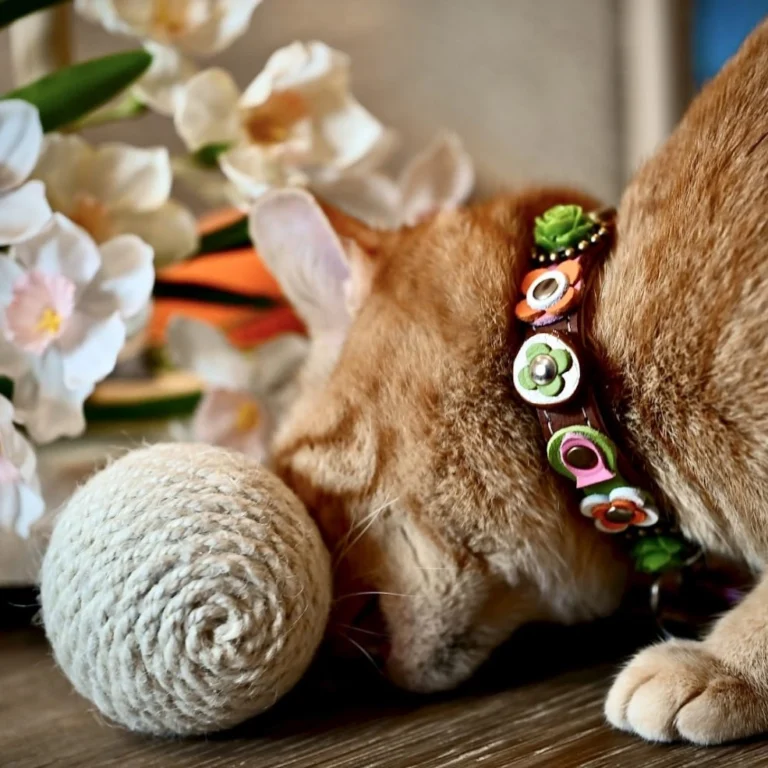 Instagram post from superpipapo. This post is in position 3.