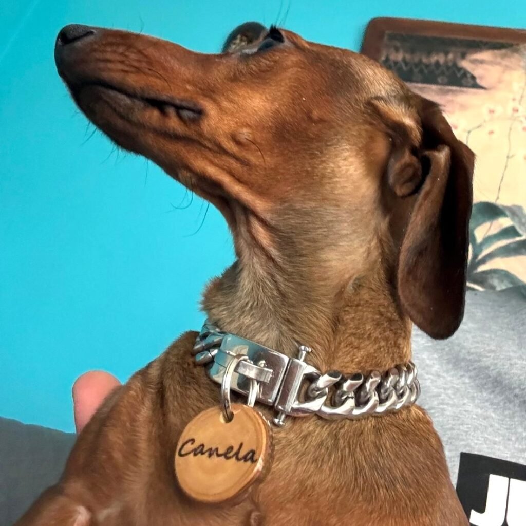 Instagram post from superpipapo. This post is in position 3.