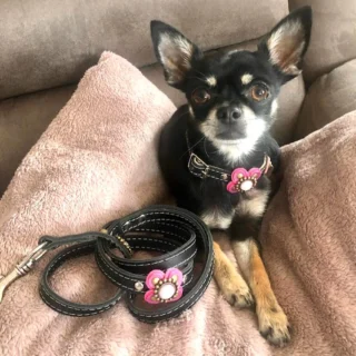 Instagram post from superpipapo. This post is in position 12.