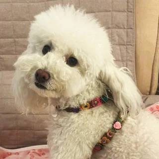 Instagram post from superpipapo. This post is in position 17.