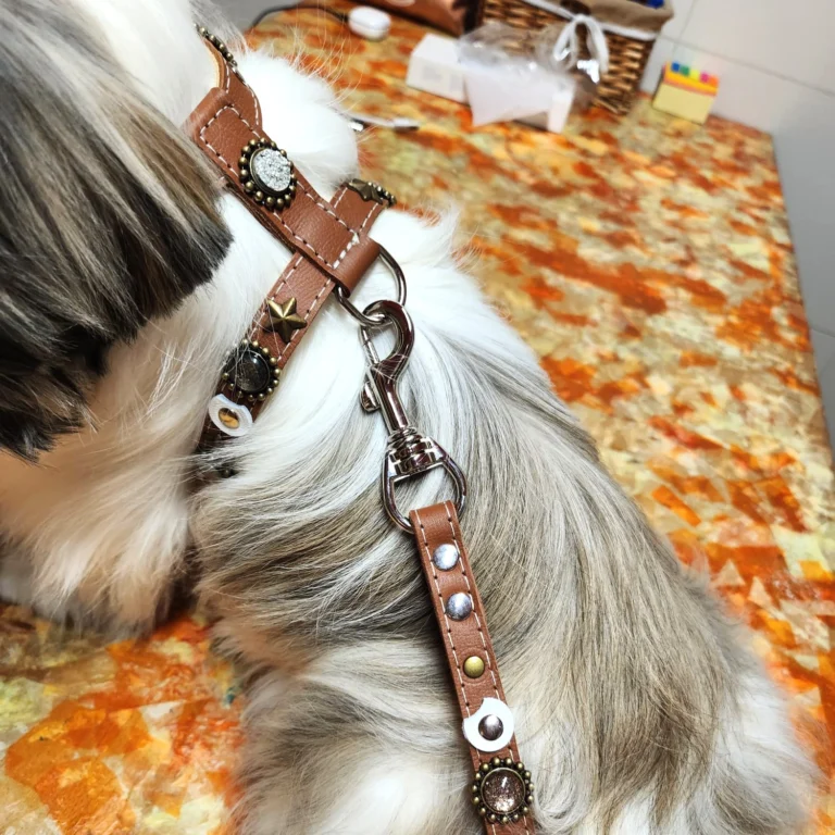 Instagram post from superpipapo. This post is in position 3.