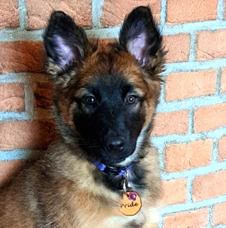 Instagram post from superpipapo. This post is in position 1.