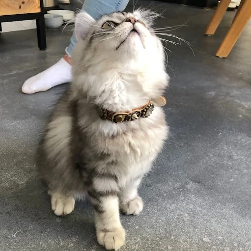 Instagram post from superpipapo. This post is in position 0.