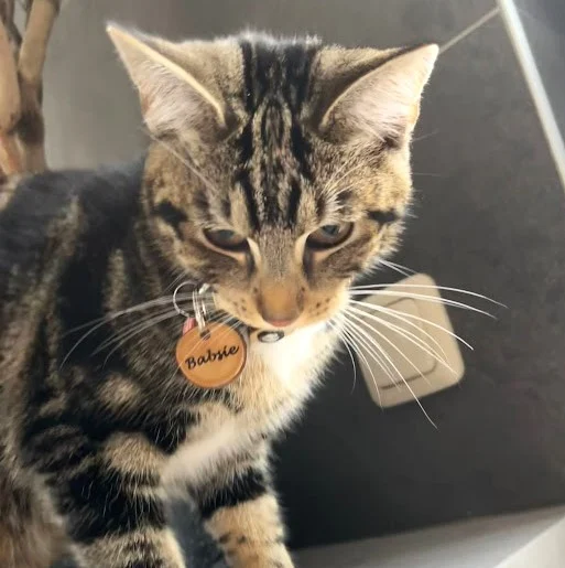 Instagram post from superpipapo. This post is in position 1.