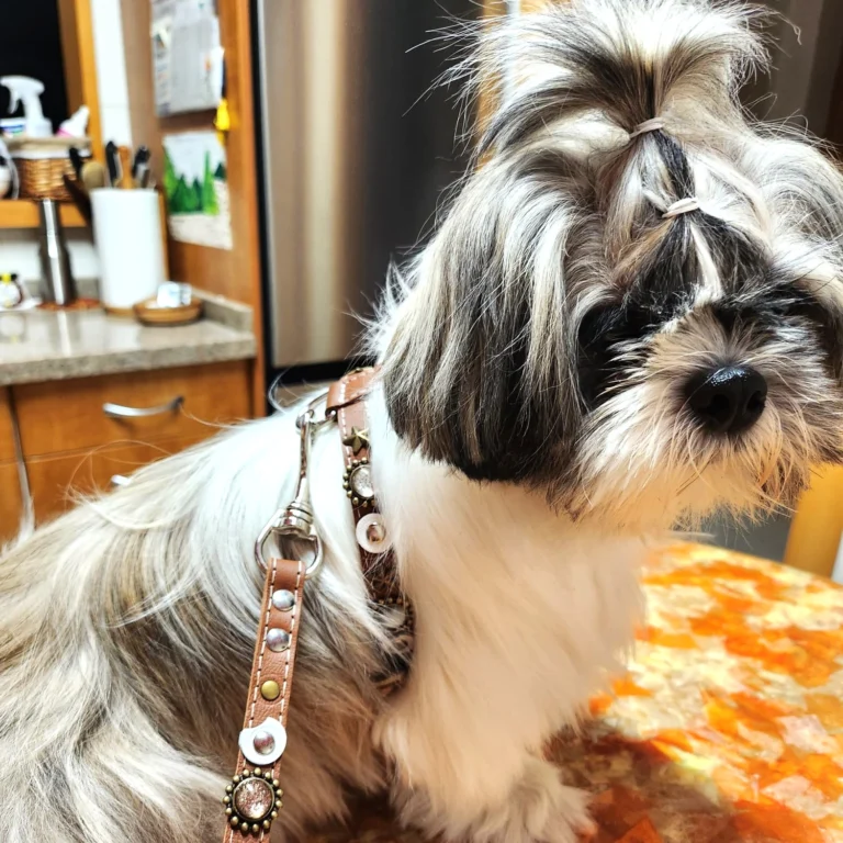 Instagram post from superpipapo. This post is in position 0.