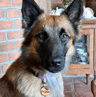 Instagram post from superpipapo. This post is in position 18.