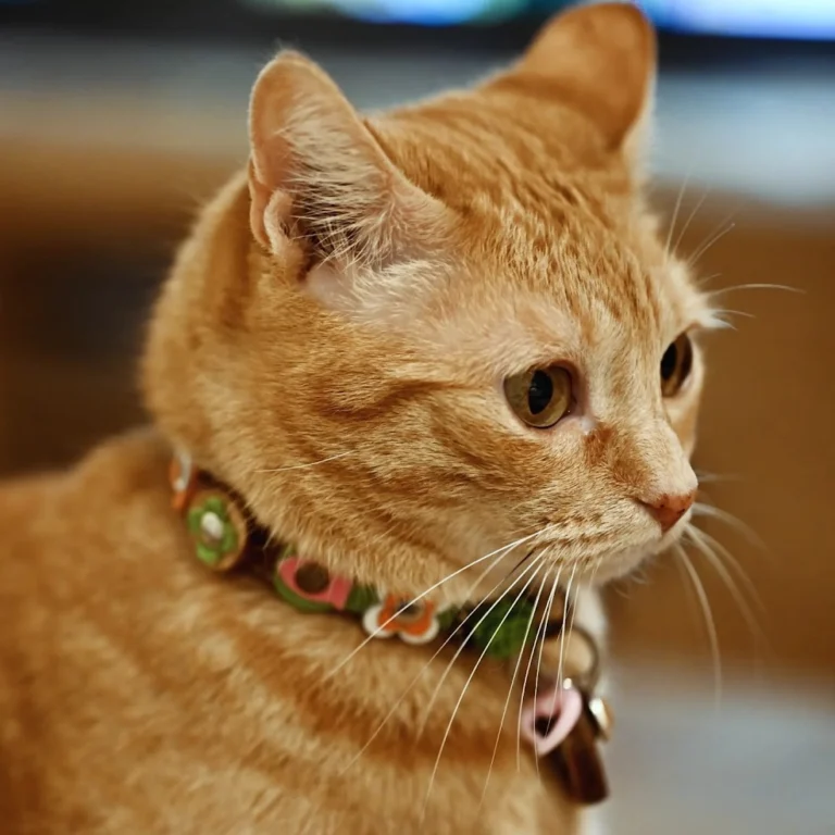 Instagram post from superpipapo. This post is in position 1.