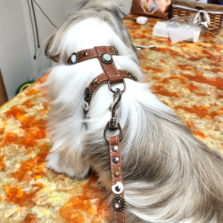 Instagram post from superpipapo. This post is in position 5.