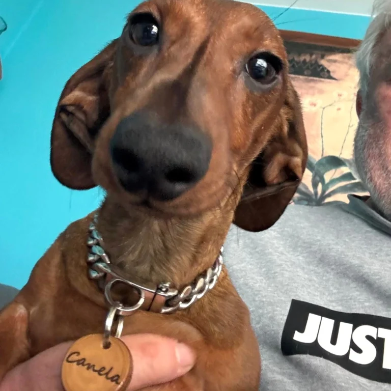 Instagram post from superpipapo. This post is in position 1.