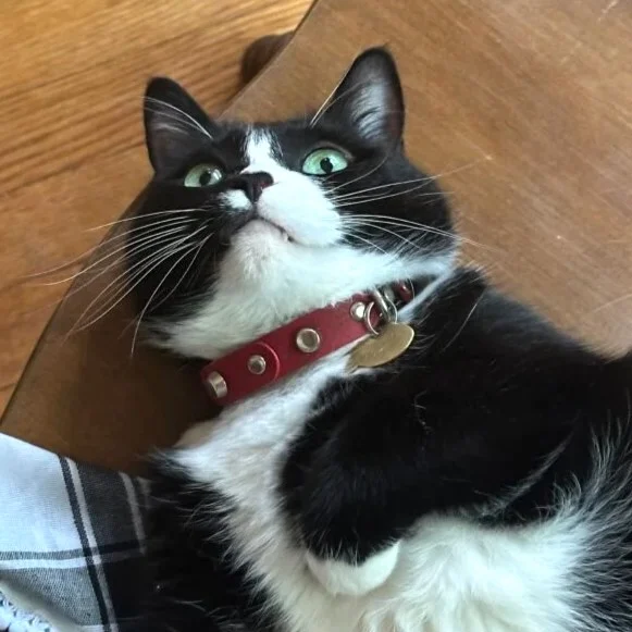 Instagram post from superpipapo. This post is in position 2.