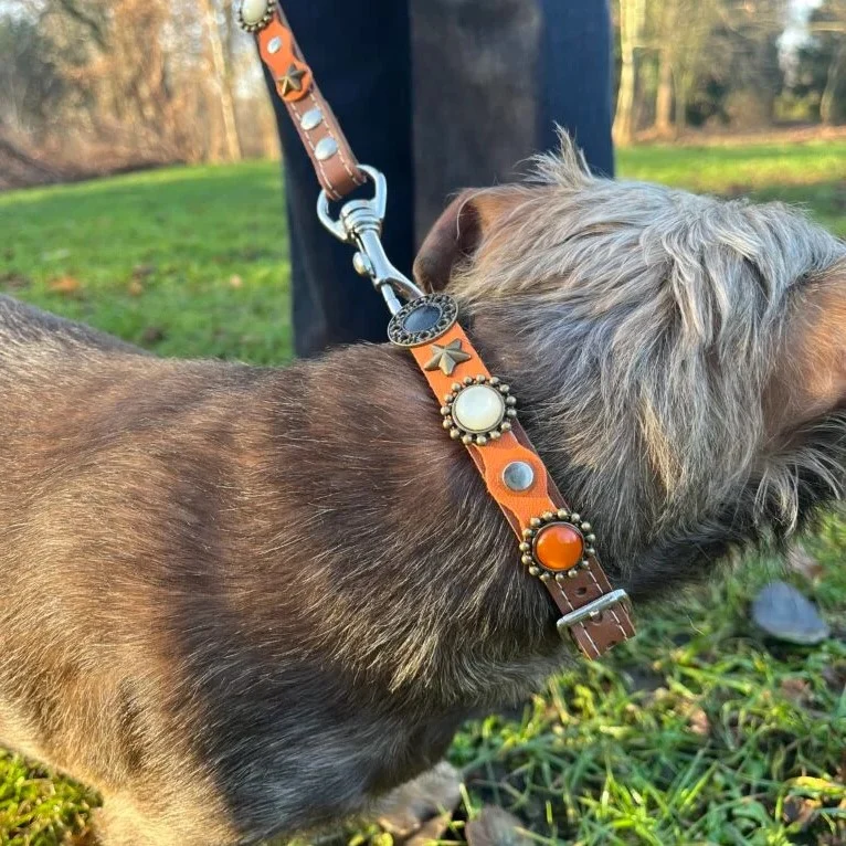 Instagram post from superpipapo. This post is in position 1.