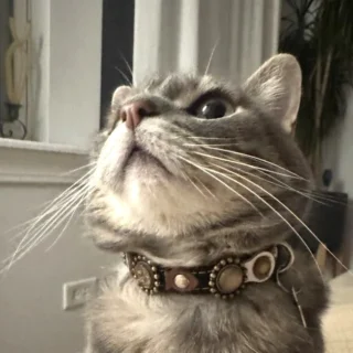Instagram post from superpipapo. This post is in position 1.
