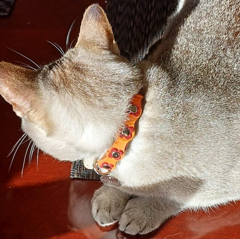 Instagram post from superpipapo. This post is in position 4.