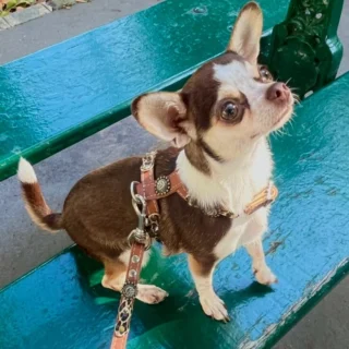 Instagram post from superpipapo. This post is in position 1.