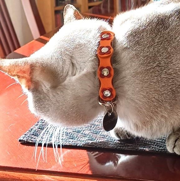 Instagram post from superpipapo. This post is in position 1.