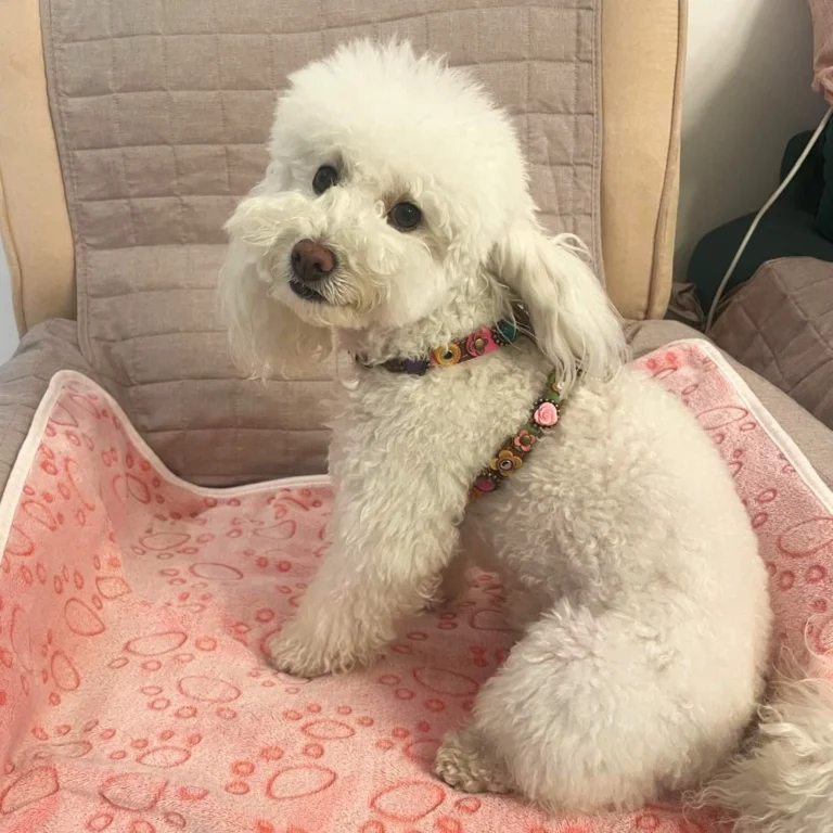 Instagram post from superpipapo. This post is in position 2.