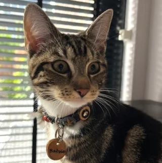 Instagram post from superpipapo. This post is in position 14.