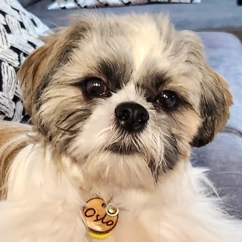 Instagram post from superpipapo. This post is in position 2.