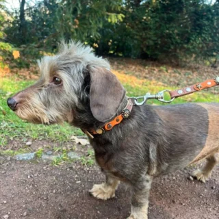 Instagram post from superpipapo. This post is in position 2.