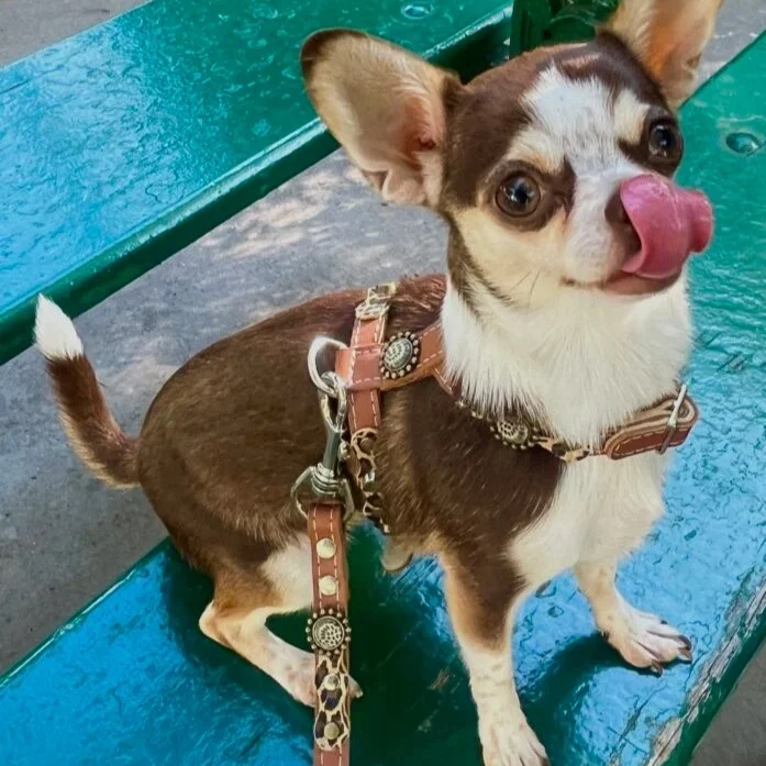 Instagram post from superpipapo. This post is in position 1.
