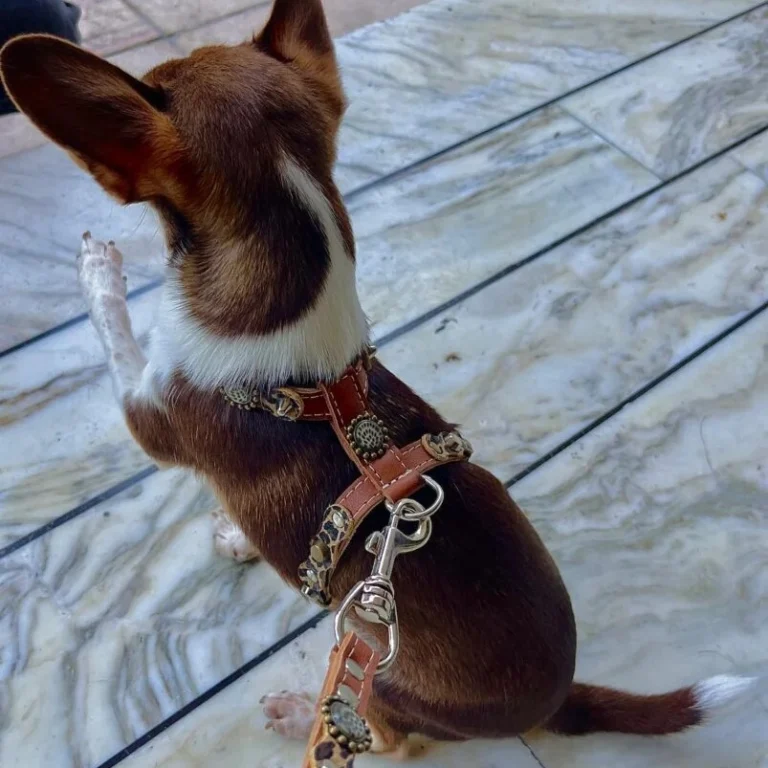 Instagram post from superpipapo. This post is in position 2.