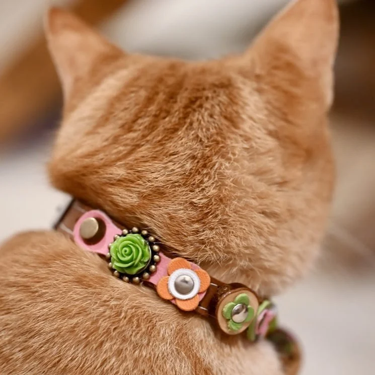 Instagram post from superpipapo. This post is in position 6.